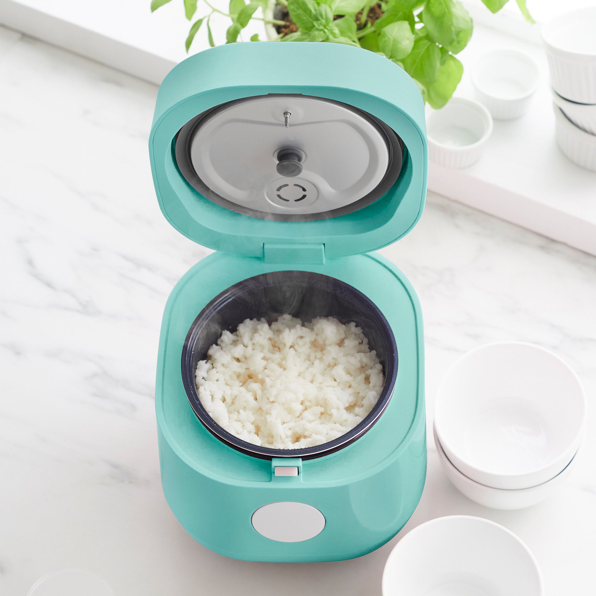 Rice & Grain Cooker/Steamer - Color & Size Options