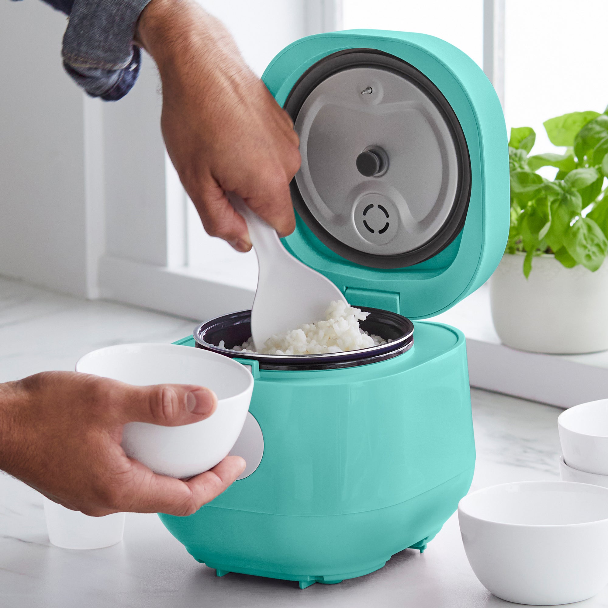 Dash Mini Rice Cookers fit nicely on the countertop and are now